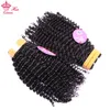 Indian Kinky Curly Fair Bundle z zamknięciem Virgin Human Raw Hair Pakiet z koronkowymi zamknięciem Królowe Produkty Hair Produkty Bezpłatna wysyłka