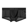 Sous-vêtements Sexy Hommes Transparent Poche Bulge Mesh Taille Basse Slip Boxer Bikini Sous-Vêtements Doux Respirant Solide Boxers Pour Hommes