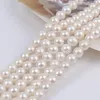 Chaînes 7.5-8.5mm Haute Qualité Ronde Naturel Blanc Véritable Perle D'eau Douce Collier Chaîne Fabrication de Bijoux