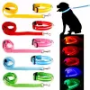 Collare per cani da compagnia Guinzaglio per cani luminoso Guinzaglio luminoso a led lampeggiante Guinzaglio di sicurezza in nylon Corda per animali domestici per cucciolo di cane di piccola taglia c412 ZZ