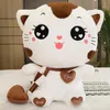 40cm Popüler Sevimli Kahverengi Kitten Peluş Bebek Karikatür Pembe Kedi Peluş Yastık Hediyesi Toptan Satış