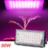LED GROW Light Phyto Lamp AC 220V 50W LED Full Spectrum Landlight inomhus utomhus växthusväxt Hydroponic Plant Spotlight