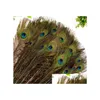 Feathers Pure Natural Peacock Imported Diy Household Vase Decoration 2530 Cm W816 Drop Delivery Office School Business Industrial Re Dhtjx