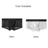 Sous-vêtements Sexy Hommes Transparent Poche Bulge Mesh Taille Basse Slip Boxer Bikini Sous-Vêtements Doux Respirant Solide Boxers Pour Hommes