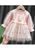 Girl Dresses Girl's Sodawn Spring Autumn Fake Two-Piece Mesh Dress Spädbarn Babykläder Swan Mönster för Borns