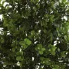 زهور زخرفية خضراء 23 "بلاستيك حلو العشب الأدغال النبات الاصطناعي الداخلية/في الهواء الطلق مجموعة من 2