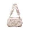 Winters Evening Bags Autumn and Winter High Quality Päls Bag Women's Ins Shoulder Pearl Hand Plush Pluped Bucket