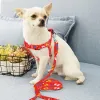 Coleiras de luxo para cães, conjunto de coleiras de designer, cintos de segurança, coleira para animais de estimação, corrente para animais de estimação, pequeno, médio e grande, chihuahua, poodle zz