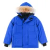 Hotsell Kids Down Jacket Canadian Płaszcz Designer Winter Tacets Dziewczyna Dziewczyna Gęsta ciepłe luksusowe ubrania ubrania z futrem z kapturem parka