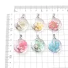 Charms 3 Stücke Nette Cartoon Tier Skorpion Getrocknete Blume Glas Natürliche Konservierte Frische Gänseblümchen Anhänger Für Schmuck Machen