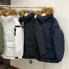 Damskie puch Parkas Lin huohuo kurtka koreańska kurtka puffer Northface NY Raccoon Futro kołnierz średnia długość luźna litera haftowa ihezmillnk6s