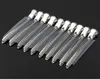 Whole authentic duckbill clip Stainless steel clip hair special positioning clamp GaPi alligator hair partitions 12pcslot5922147