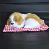 Interior Decorations Car Ornament ABS Plush Dogs Decoration Simulation Sleeping Dog Toy Automotive Dashboard Decor Ornaments Cute Auto Accessories AA230407