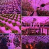 Cultiver des lumières 1Packs lumière LED E27 vis croissance pleine 5730 tasse de remplissage de semis d'intérieur