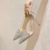 Jurk Schoenen Dames Pumps Luxe Kristal Slingback Transparante hoge hakken Dames Pumps Schoenen Puntige champagne Feest Trouwschoenen 231108