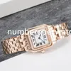 Femmes Montre Mode Classique Panthere En Acier Inoxydable Mouvement À Quartz Pierre Précieuse Pour Lady Montres Cadeau Top Qualité Avec Design Montre-Bracelet