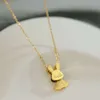 Collier de lapin en acier titane incolore, bijoux du zodiaque chinois, diffusion en direct Tiktok, Style chaud, mode Simple, 2023