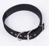 40 pièces / lot marque mise à jour en nylon double épaississement mousse collier de chien de compagnie boucle carrée colliers de chien chiot chat ZZ