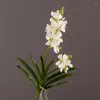 Dekorative Blumen 2 The Fork Künstliche Vanda-Orchideen, fühlen sich echt an, hochwertige Orchidee mit Blattwurzeln, gefälschte Hochzeit, Zuhause, Büro, Party-Dekoration