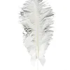 Festive Supplies Other & Party Natural Peacock Ostrich Feather Cake Topper Wedding Dessert Flags Cupcake Decorations Shooting Props House Or