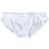 Wholesale Sublimation Women's Briefs Heat Transfer White Blank Underpants Polyester Underwear American Size M L XL XXL Home Clothing 1108