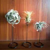 Garden Supplies Other Q9QF Air Plant Holder 3 Sizes Plants Container Iron Flower Stand Tillandsia For Displaying Home Office Desktop