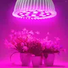 Cultiver des lumières 1Packs lumière LED E27 vis croissance pleine 5730 tasse de remplissage de semis d'intérieur
