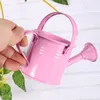 Trädgårdsdekorationer 6 datorer Watering Can Succulent Device Trädgårdsverktyg Plast Solros Outdoor Decor Sprinkler Kids Bucket