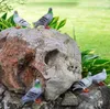 Dekoracje ogrodowe symulacja zewnętrzna żywica dla ptaków zwierzęta gołąb ozdoby gołębi dziedziniec willa rzeźba rzeźbi