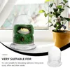 Vases DIY Glass Bottle Landscape Container Ecological Canister Microlandscape Storage Desktop Cake Stand Terrarium For Plants