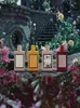 Parfymer för kvinnor parfym dofter 100 ml 5 modeller blommor anteckningar EDP Natural Spray Counter Edition och snabb porto6500289