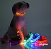 Hoomall clignotant lueur LED collier pour animaux de compagnie collier pour chien Rechargeable LED réglable collier lumineux nuit sécurité chien311f1274238