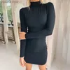 Basic Casual Dresses Hot selling new high neck long sleeved sexy dress T231109