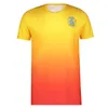 23 24 Maillots de football de l'équipe nationale de football de la RD Congo 2023 2024 Maillots de football Top BIFOUMA CHARPENTIER GANVOULA Accueil Extérieur Hommes Uniformes