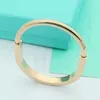 Pulsera de bloqueo de brazalete de acero de Horseshoe de estilo único favorito de todos Sier Pulseras de oro de rosa Sier para mujeres Regalo de amantes de las joyas