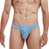 Mutande 5 pezzi Biancheria intima da uomo sexy Slip Stripe Sospensorio Gay Mens Cuecas Breve bikini Under Wear Srting Man E-087