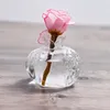 Vases Cute Pomegranate Shape Vase Transparent Glass Hydroponic Creative Fruit Cachepot Flower For Home Decoration