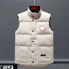 Canadian Hiver Designer Puffer Veste Veste Veste Goingée GOOSE DOWN DOWN HOMME JASSEN CHAQUETAS EXTERNE VOIR LOB FOURNE À FOURS MANTEUR MANEUR MANTEU