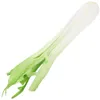 Garden Decorations Simulated Food Vegetable Ornament Toy Miniature Simulation Celery Model Fake Realistic Pu Artificial Child