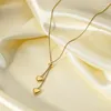 Hänge halsband 316l rostfritt stål mode fina smycken justerbar utdragbar hjärtaformade charm kedjekokerhängen för kvinnor