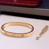 Chave de fenda pulseira designer moda mens manguito pulseira de luxo aço inoxidável diamante artesanato chave de fenda unisex clássico manguito presentes de festa