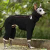 Dog Apparel Pet Winter Turtleneck Whippet Clothes Plush Thickening Italian Greyhound Coat Gree Bedlington Small Medium Dogs Jacket