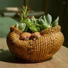 Decorazioni da giardino Imitazione bambù Rattan intrecciato Animale Piccolo cesto Resina Succulente Vaso da fiori Statua Decorazione Mobili