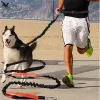 弾力性のある犬のリーシュランニングハンドペット製品犬ハーネスカラージョギングリードと調整可能なウエストロープトレーニングLEASH1958841 ZZ