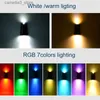 Wandlampen op zonne-energie RGB-wandlampen op zonne-energie Buiten Kleur veranderende tuindecoratie Zonne-lamp Hek Wandlamp voor tuin Buiten Loopbrug Trappen Q231109