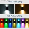 Solar Wall Lights RGB Solar Wall Light