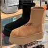 Designer Newly arrived Classic Dipper short snow boots for women winter elastic slim boots with fashionable and versatile side zippers plush and thick cotton shoes