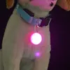 LEDフラッシングペットカラー犬猫子犬LEDナイトセーフペダントペダントペットバックルネクタイカラートレーニングウォーキング用品TransPor8004260 ZZ