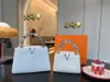Klassieke Nylon Tote Bag Handtas Luxe Designer Women's Handtas Real Belt Box Travel Messenger Bag Top Lederen Grip Nieuwste schoudertaskoppeling
