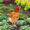 Trädgårdsdekorationer kycklingdekor Akryl hönstaty livtro tupp insatser undertecknande markplugg simulering dekorativ för gräsmatta uteplats